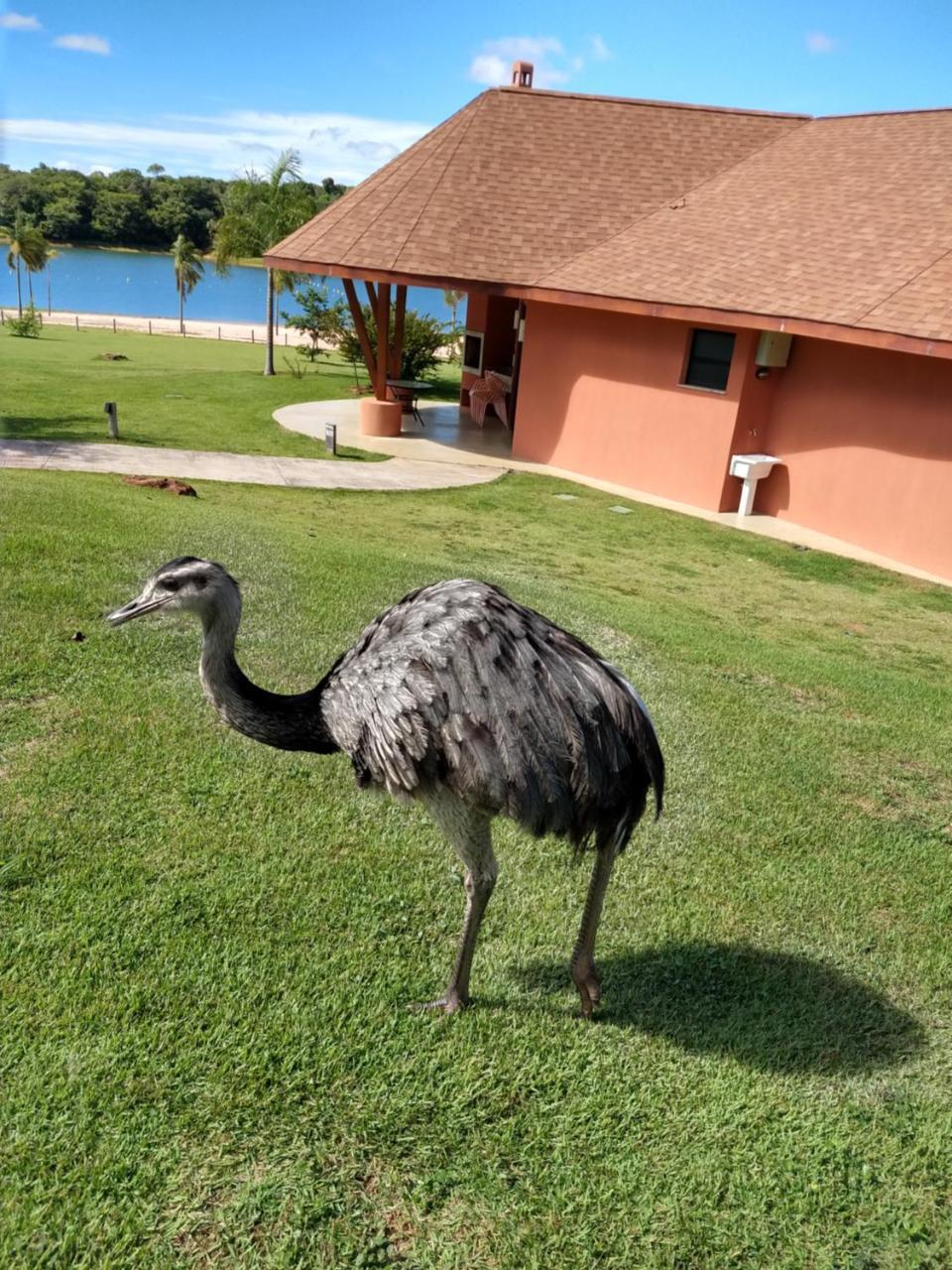 Malai Manso Cotista - Resort Acomodacoes 4 Hosp (Adults Only) Retiro  ภายนอก รูปภาพ